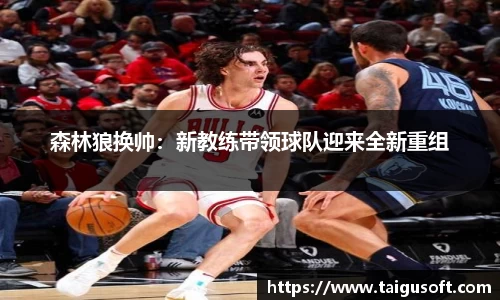 贝博BB官网