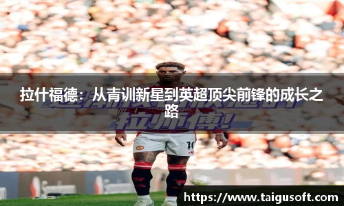 贝博BB官网